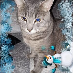 Meet your Posher, Frances